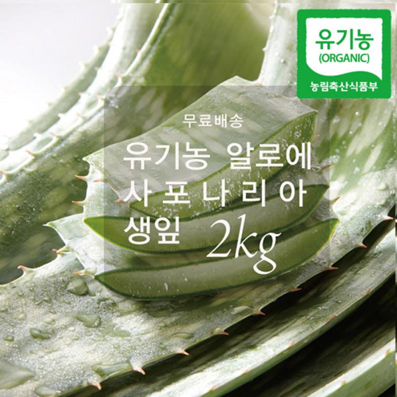 [한림알로에] 가야뜰 친환경(유기농) 알로에 사포나리아 생잎 2kg